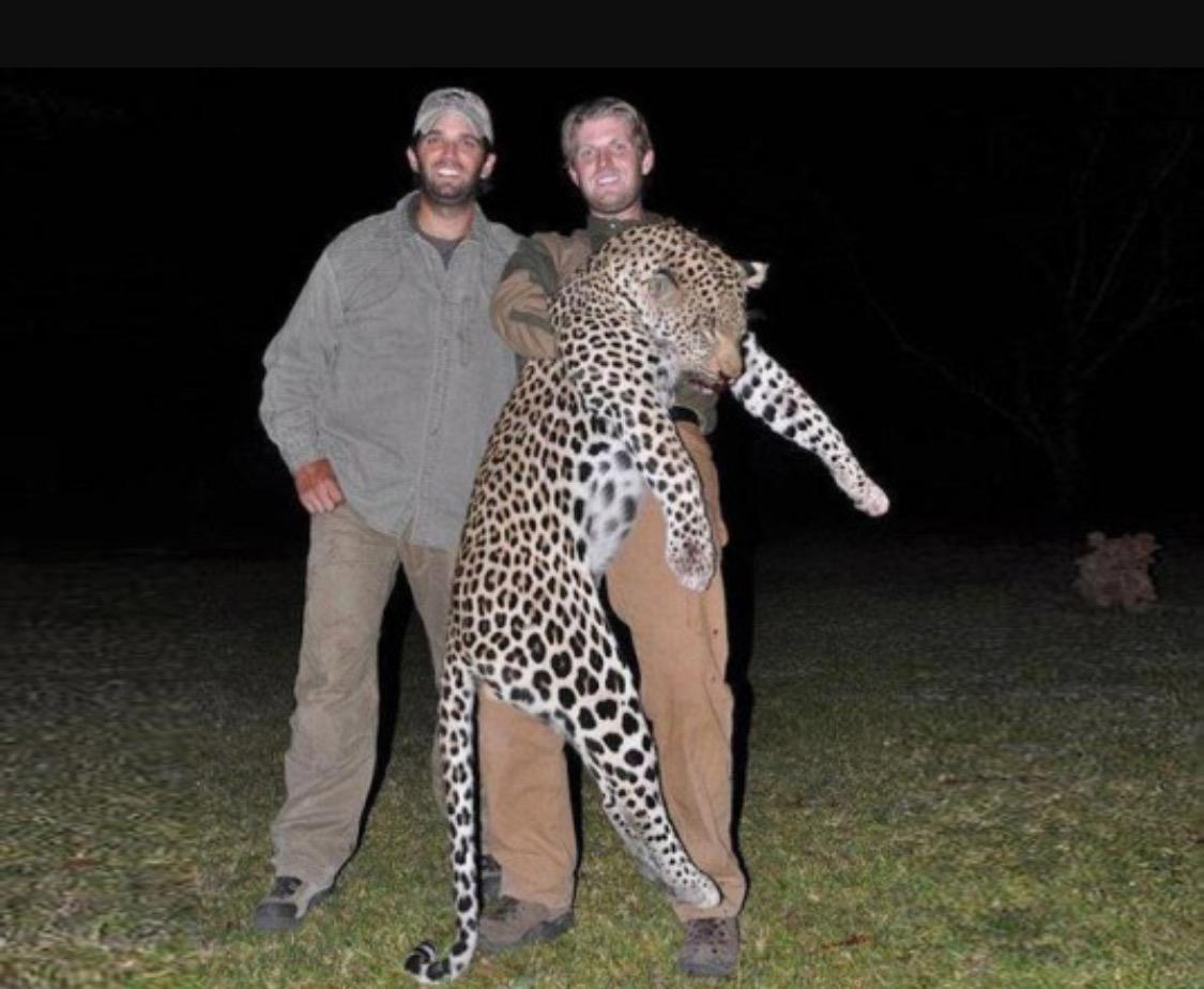 Trump sons' hunting in focus as US lifts import ban on African ...