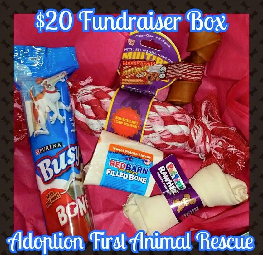 Adoption_First's tweet image. 