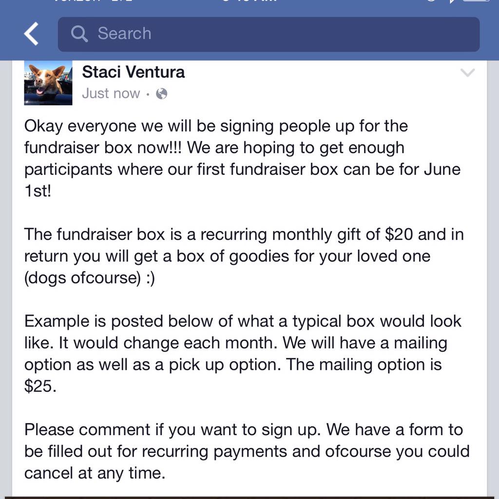 Adoption_First's tweet image. 