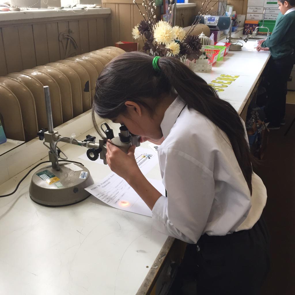 HolyCrossPri's tweet photo. P7 investigated the patterns&characteristics of a fingerprint! #scienceisfun #futureforensicscientists 😄👍🏼 http://t.co/yNopMAZwgv