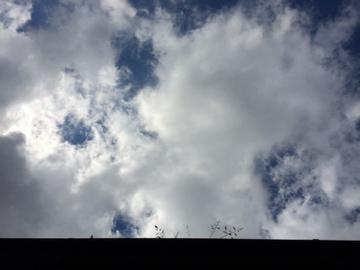deverbinding tweet picture