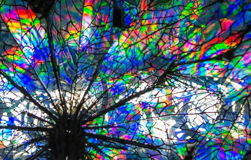 Skunk_Control's tweet image. Take a sneak look into our Secluded Evolution by @Skunk_Control ; 10th July 2015. @_GSPF