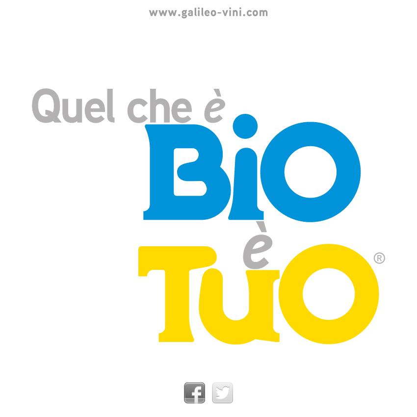 GALILEOVINI's tweet photo. #filmveneto #bevicosavedi #mtvveneto #cantineaperte #movimentoturismovinoitalia #galileovini http://t.co/XqPTdm0Uab