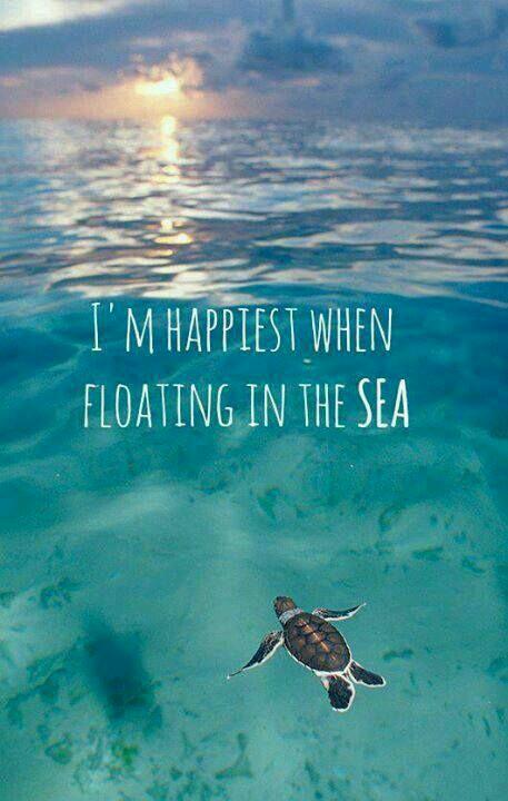 notforponies's tweet photo. 2015 is about putting customers at the heart of everything we do. What place makes you happy? Tell us! #sheerb2b http://t.co/uOBm4bRAdy