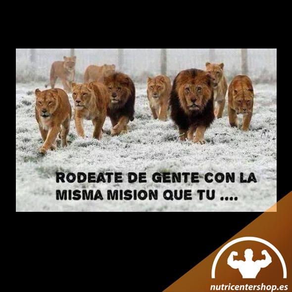 Nutricentershop's tweet photo. El camino será más fácil 
#nutricentershop http://t.co/y4zvrRskKx