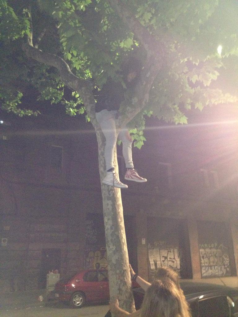 Aleix ⚔️ tweet media