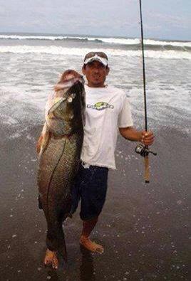 thefishinglife's tweet photo. #snookzilla http://t.co/7UyXVFrsJL