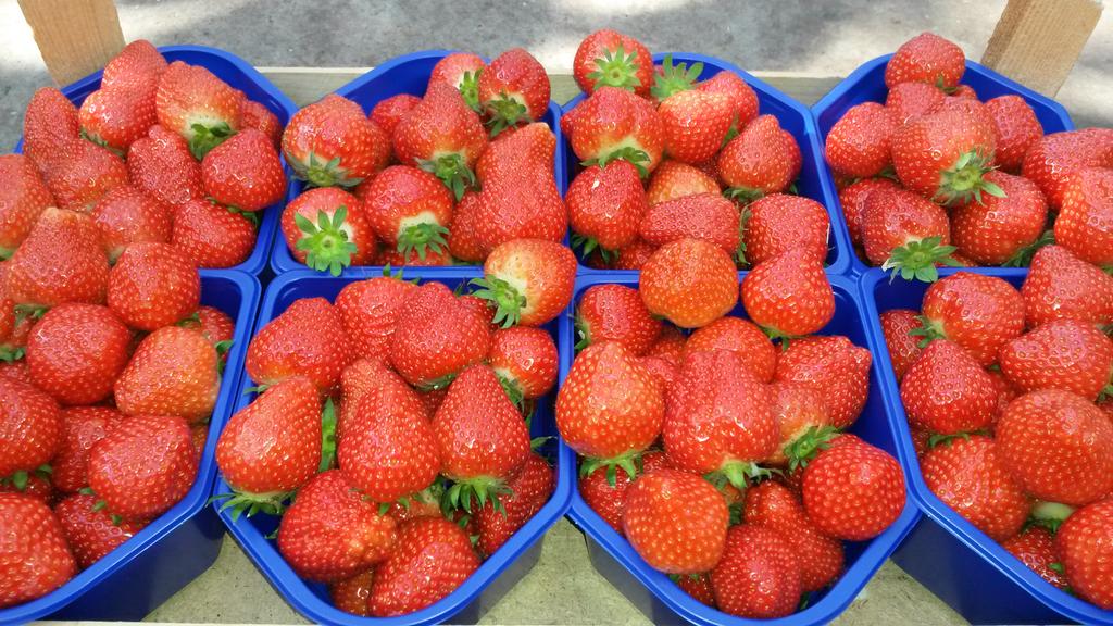 Wat is er lekkerder met dit zommerse weer dan heerlijke <a href="/hollandse/">hollandse</a> aardbeien mmmmmm <a href="/aardbeiweetjes/">aardbeiweetjes</a>