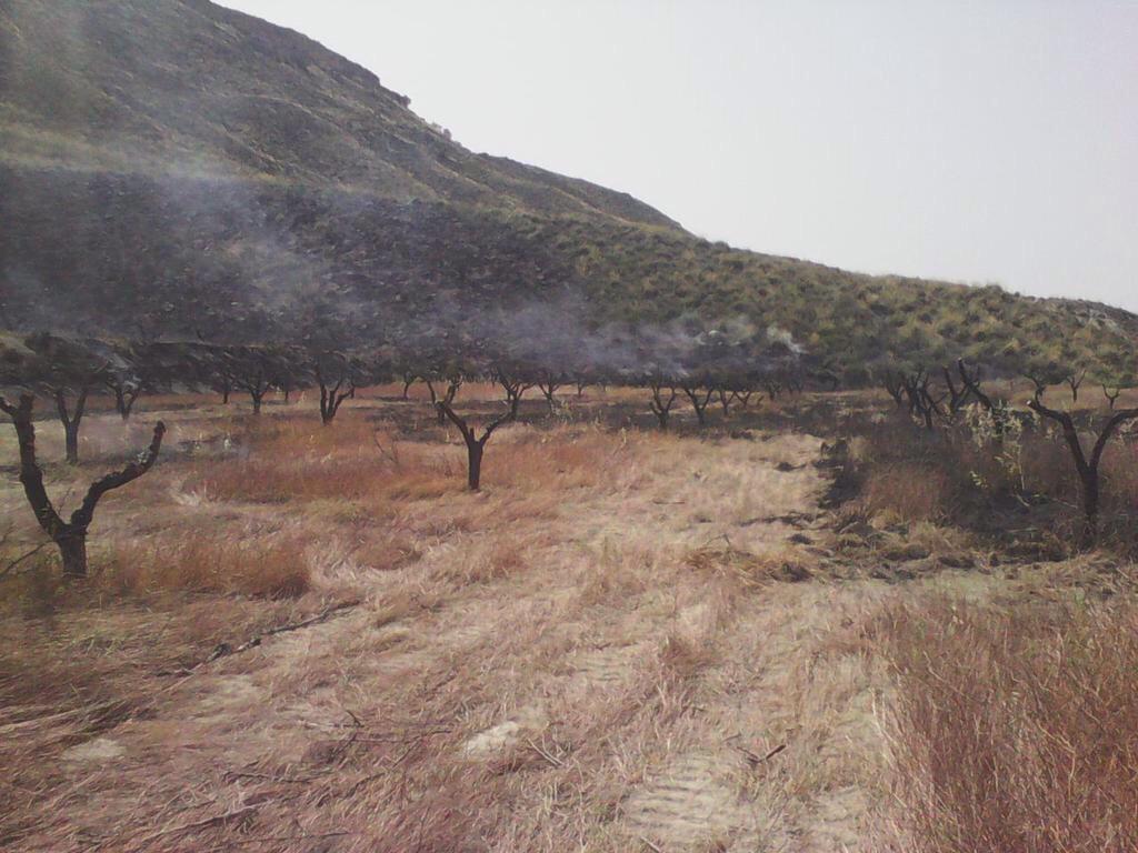 112infomur's tweet photo. Imágenes de la zona afectada por el #IIFF de Mula. Afortunadamente no ha ido a más http://t.co/3J12G6Krim