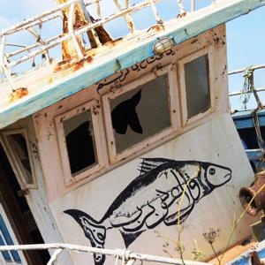 What would have been new about bombing migrant boats? bit.ly/1JcC2Zt