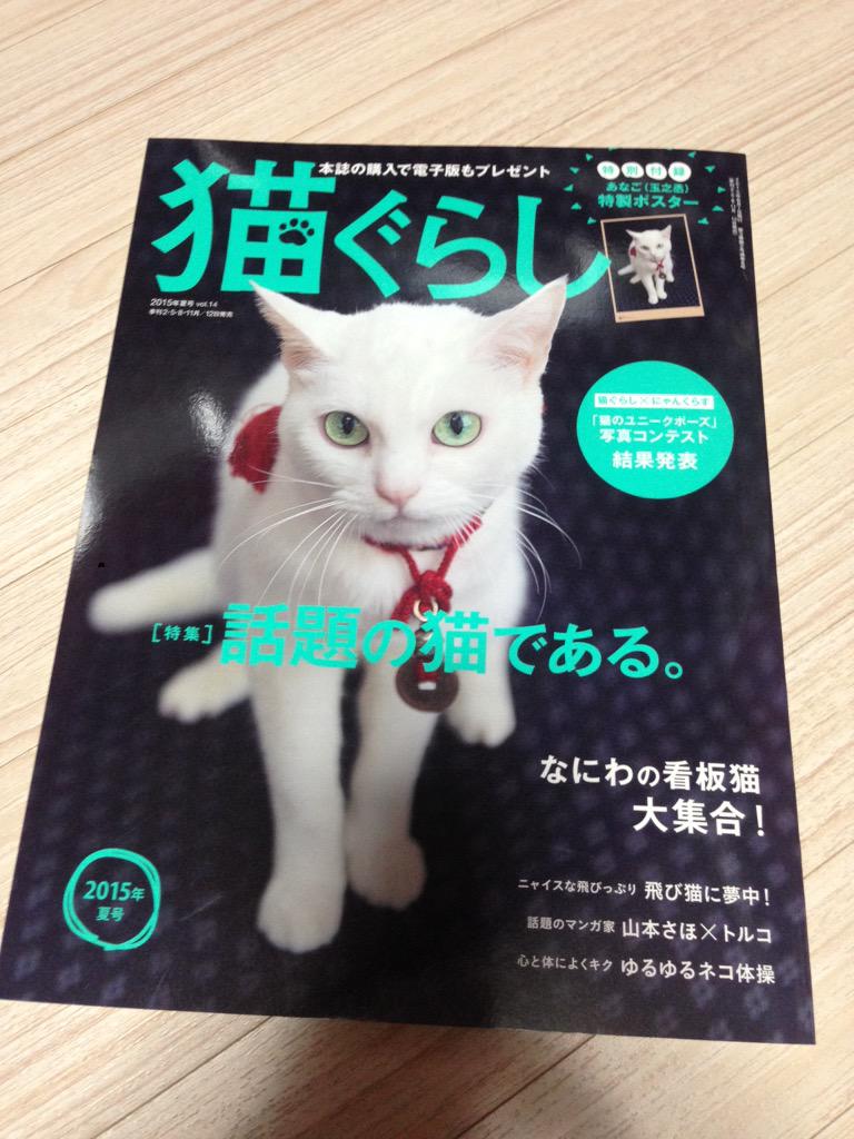 山本さほ 猫ぐらし という雑誌の取材を受けました やっぱりいいカメラで撮ると普通の雑種の猫も そこそこの雑種の猫に見えますねー 猫ぐらし発売中です Http T Co D7hlo4xxx5 山本さほ 猫ぐらし という雑誌の取材を受けました やっぱりいいカメラで撮ると普通の雑種の猫も そこそこの雑種の猫に見えますねー 猫ぐらし発売中です Http T Co D7hlo4xxx5
