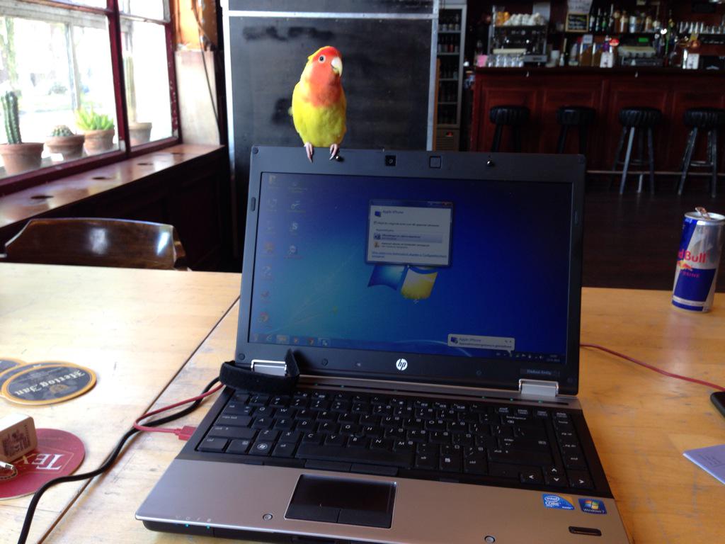 Nieuwe laptop