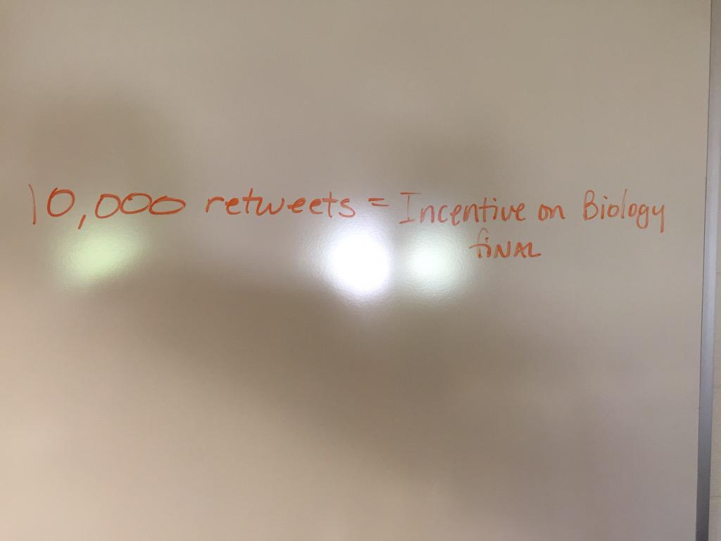 G_Merritt10's tweet image. Help B5 Biology on our final! RT