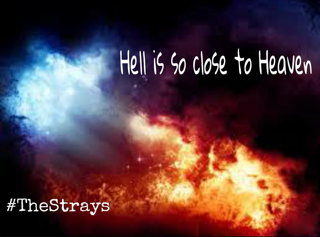 kbrown3550's tweet photo. #TheStrays  😊❤ @SWStheband #sws #SWSMadness #Madness http://t.co/IL2i15SCSA