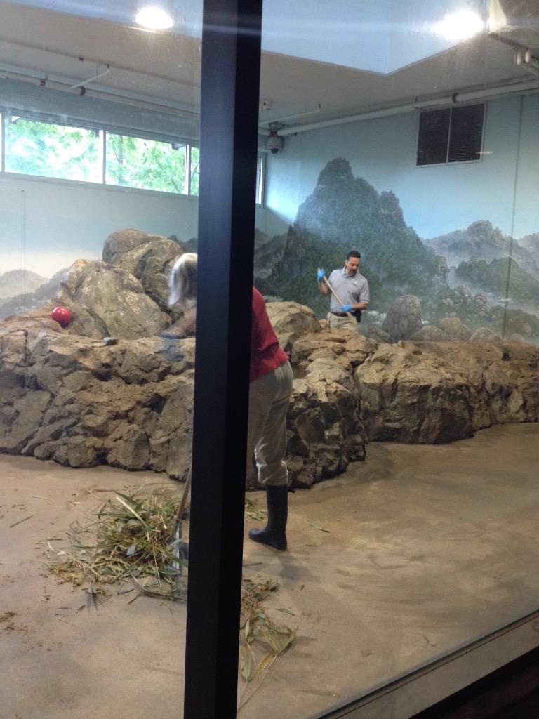 noah_stoker's tweet image. Most dangerous animal here #RememberCorey