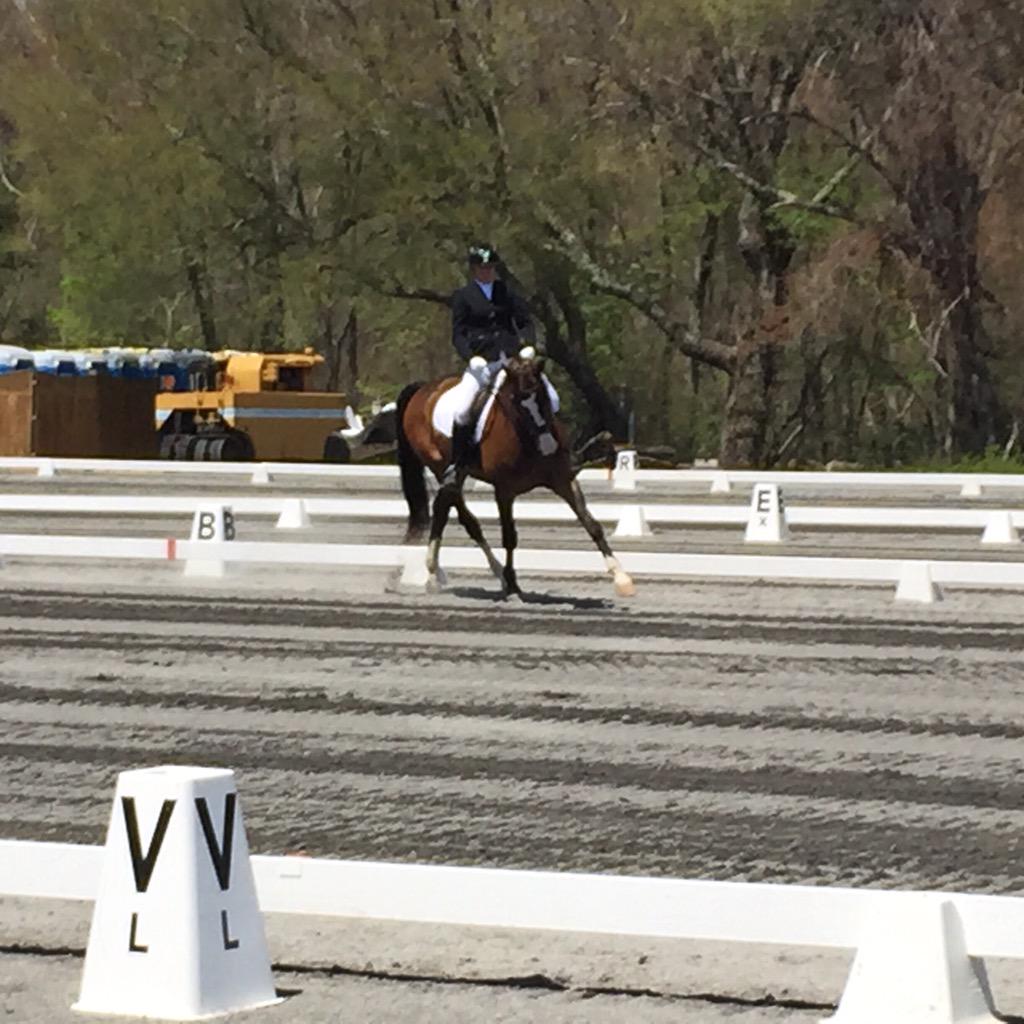 C9SportHorses's tweet photo. Jen Mott and Mr. Sunshine - High Point 1st Level winners πππ #NEDASpring #dressage #c9sporthorses #equestrian http://t.co/jtDtwyGcNW
