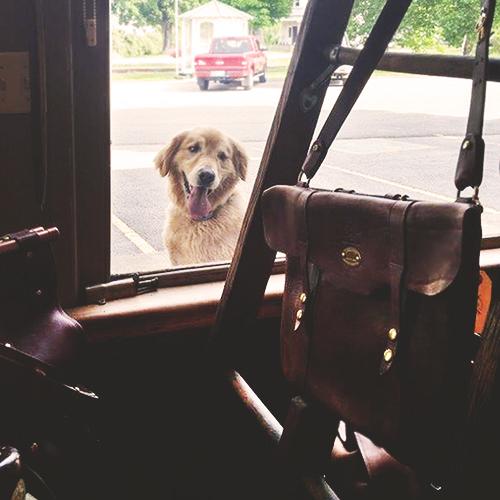 ColLittleton's tweet image. Even dogs drool over our products. Franklin here has been eyeing our Document Bag. #Dogs #ClassyDogs #LeatherBag