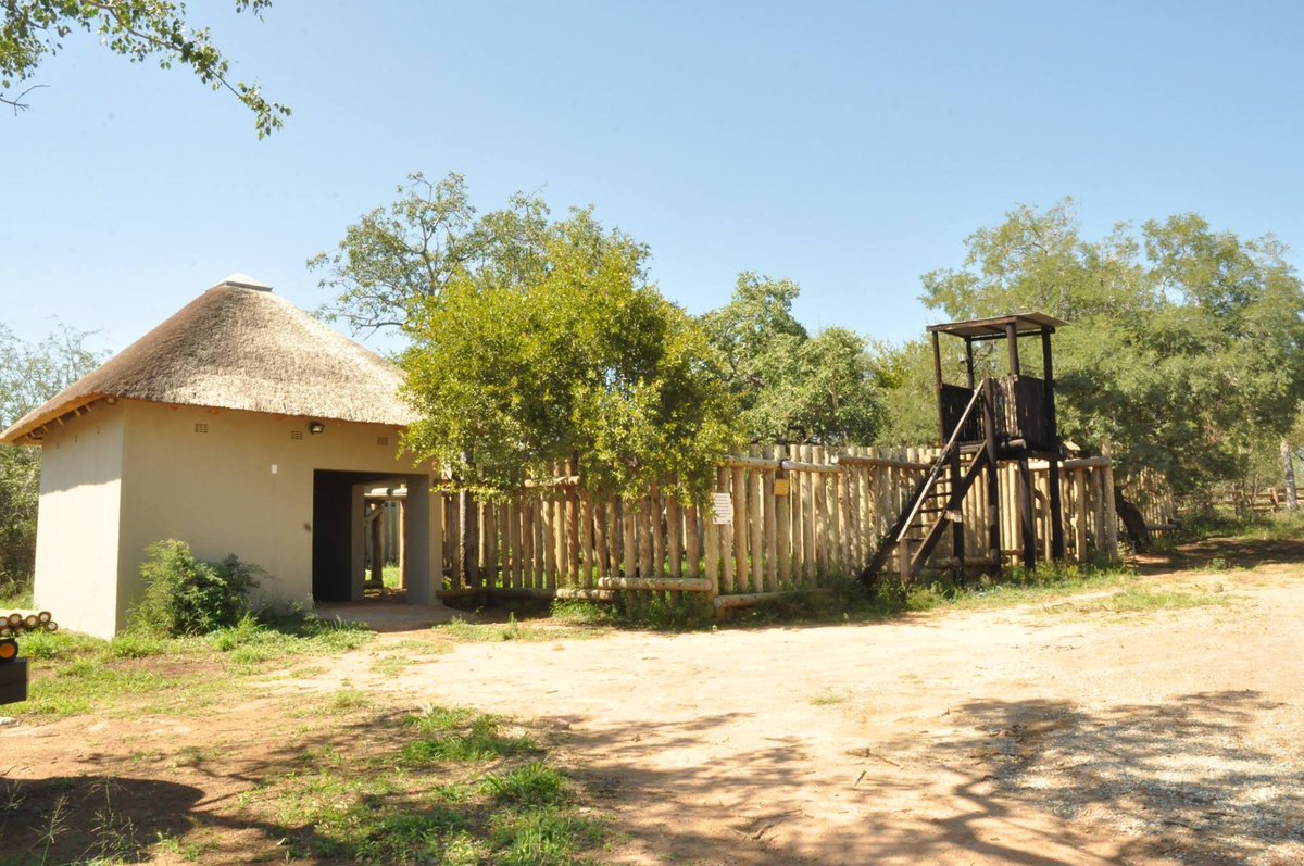 The RR Orphanage is almost complete, keep supporting this Rhino Revolution! <a href="/rhinorevolution/">rhino revolution</a>