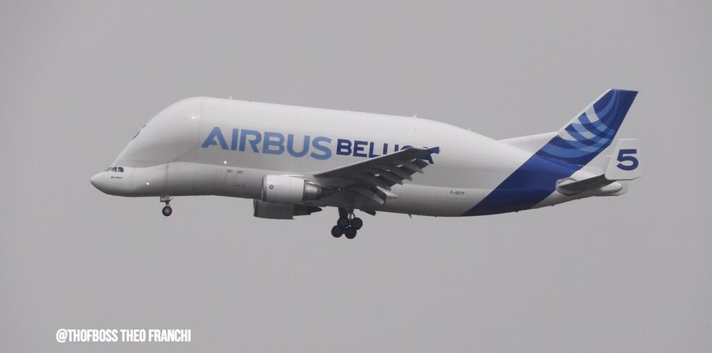 THOFBOSS's tweet photo. Béluga 5 #FGSTF @Airbus @generalelectric @aeroport_tls @LaDepecheAero from Madrid to Toulouse #avgeek http://t.co/QgkBtwaKjz