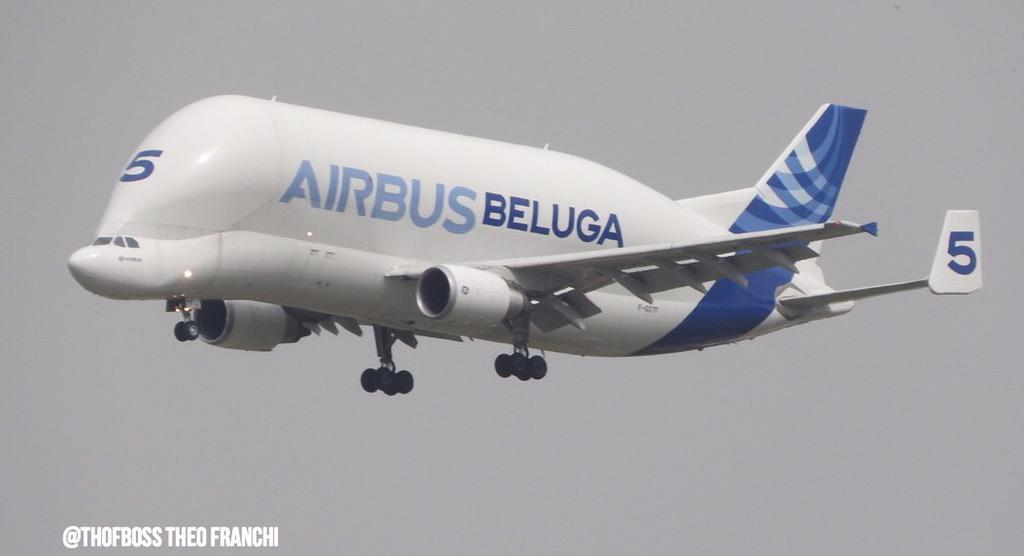 THOFBOSS's tweet photo. Béluga 5 #FGSTF @Airbus @generalelectric @aeroport_tls @LaDepecheAero from Madrid to Toulouse #avgeek http://t.co/QgkBtwaKjz