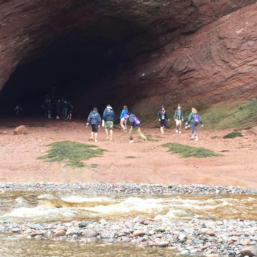 SSRCE_science's tweet photo. Braving the cold water to explore a sea cave. We just can't resist! @cwsf_ysc @SouthShoreRSB #CWSF2015tourday http://t.co/IgerREVBam