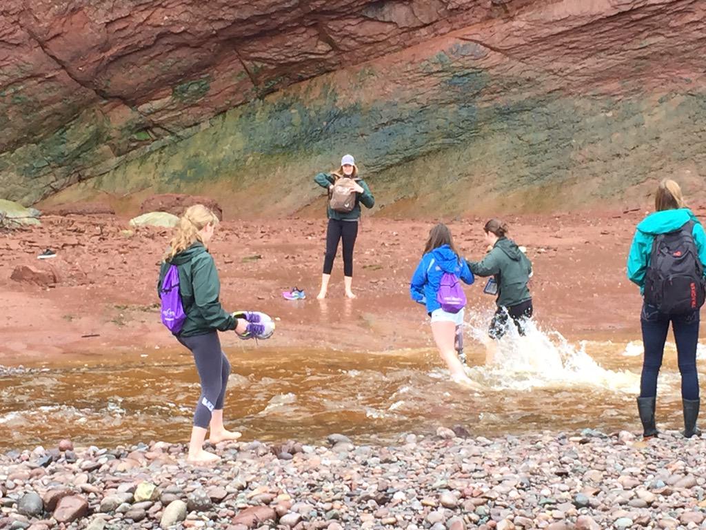 SSRCE_science's tweet photo. Braving the cold water to explore a sea cave. We just can't resist! @cwsf_ysc @SouthShoreRSB #CWSF2015tourday http://t.co/IgerREVBam
