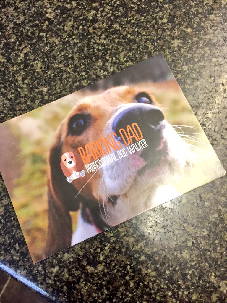 BoxwoodGosforth's tweet image. Nice to see @Barking_dad again this afternoon! Make sure to check him out if in need of a pro dog walking service!