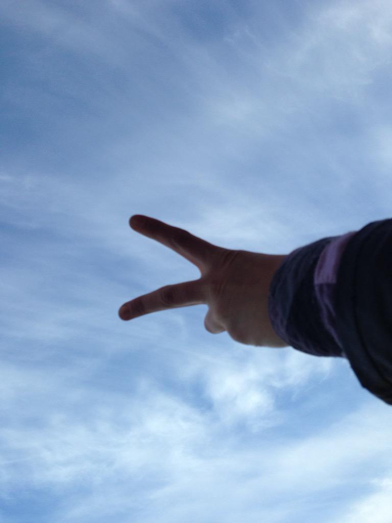 1DSashylua tweet picture