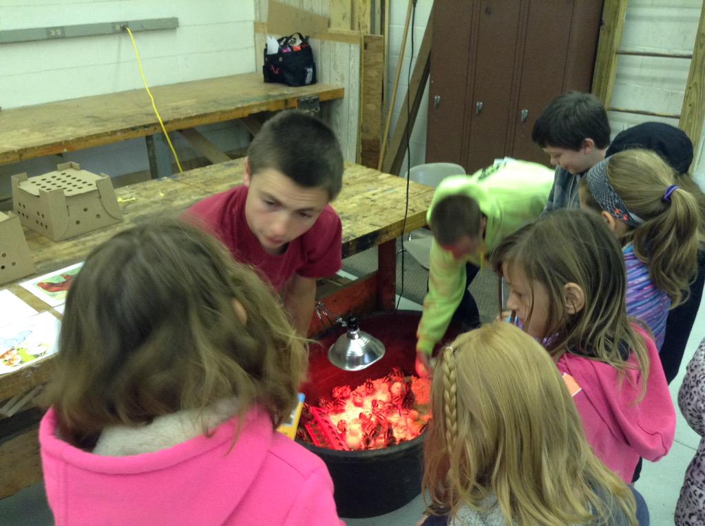 CrawfordFFA's tweet photo. Crawford Elementary learning about poultry http://t.co/Itei9Q1C5R