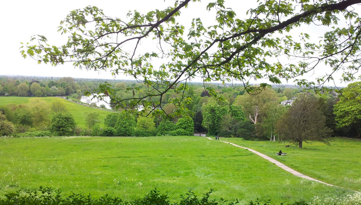 arthritis_care's tweet image. #Arthritischat #Walking moving sore joints, a short #Walk to the shops or a park can lift you snipurl.com/acweek