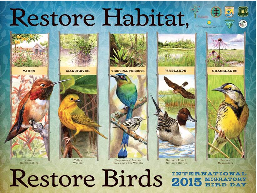 idfgUpperSnake's tweet photo. Free #Birding Tours And Birding Class Offered For International Migratory Bird Day http://t.co/6OwINnTFEi http://t.co/fJdOU4ABBe