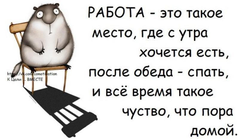 Раскраски свинка, картинки и смешные стихи о работе