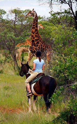 AfricanCourtesy tweet picture