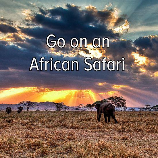 AfricanCourtesy tweet picture