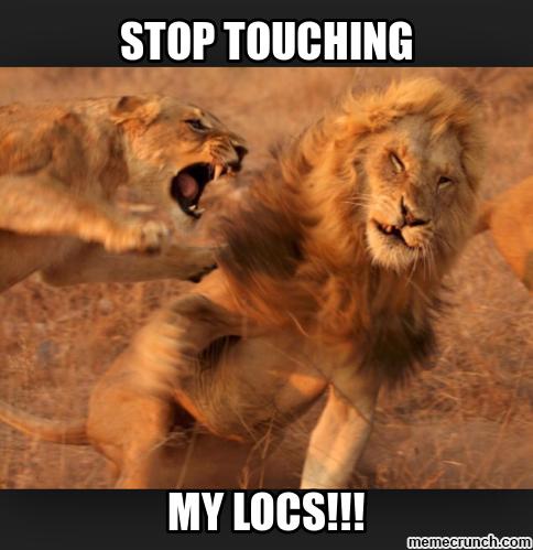 LiveLocs's tweet photo. Retweet if you've ever felt this way about your #Locs. #LocProblems #NaturalHairProblems #FirstWorldProblems http://t.co/MUdq6pZTnw