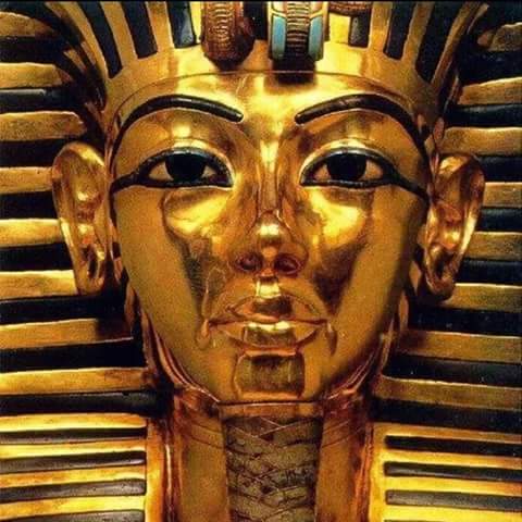qjones1184's tweet photo. Mind of a King 👑🏰👑🏰👑.On me Jone$....😎😎😎 http://t.co/gkFqCLqRx1
