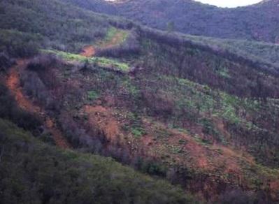 sanmarcoscity's tweet photo. One year after the #CocosFire, we see growth returning to the Coronado Hills and San Elijo Hills slopes and hillsides http://t.co/GroXXyHdU8