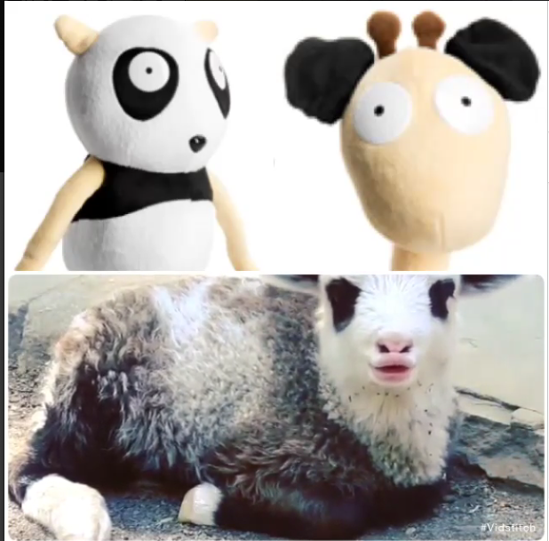 vat19 heated sloth plush