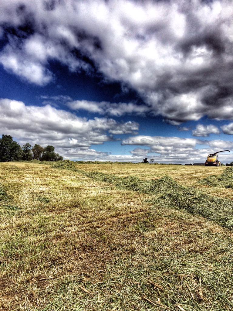 RebeccasTales's tweet image. What better way to spend your day than in the field with a #ForageCruiser @NHAgriculture #Choppin'