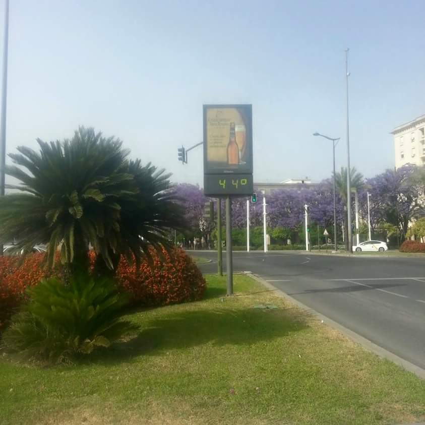 QueDiseMiarma's tweet photo. THUG LIFE SEVILLA! http://t.co/odn209KpiE
