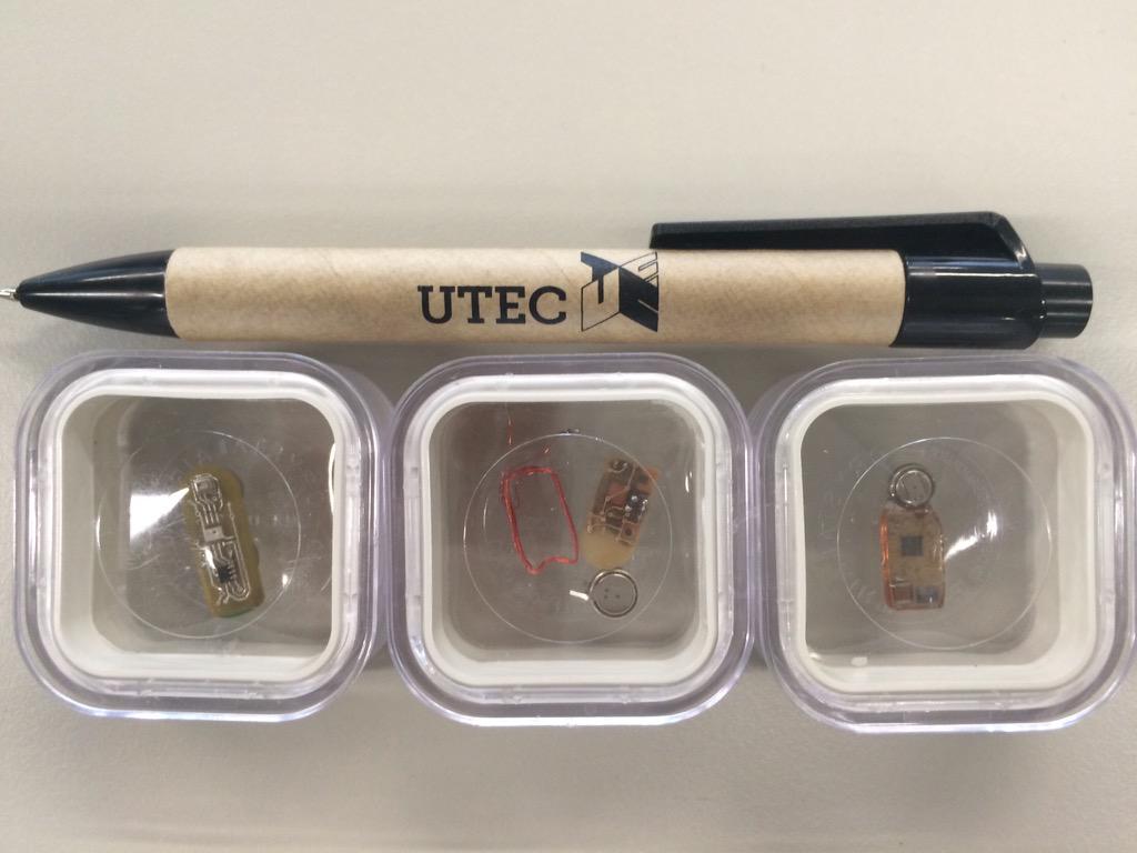 Nawal Mikou tweet media