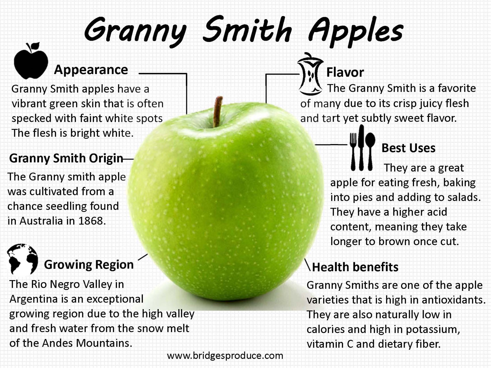 Bridges Produce on X: Happy #NationalApplePieDay! Granny Smith