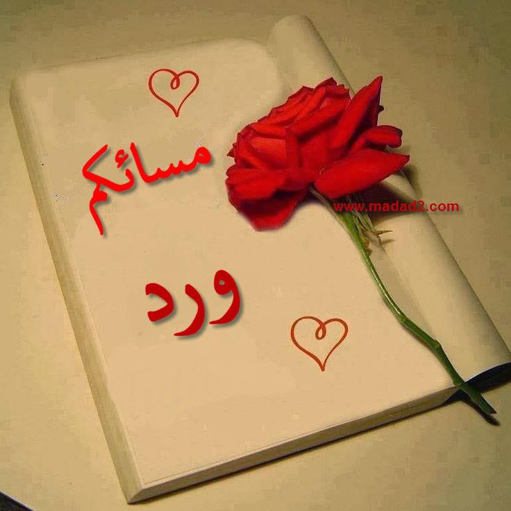 freecple's tweet photo. http://t.co/Od1Q681Jwd