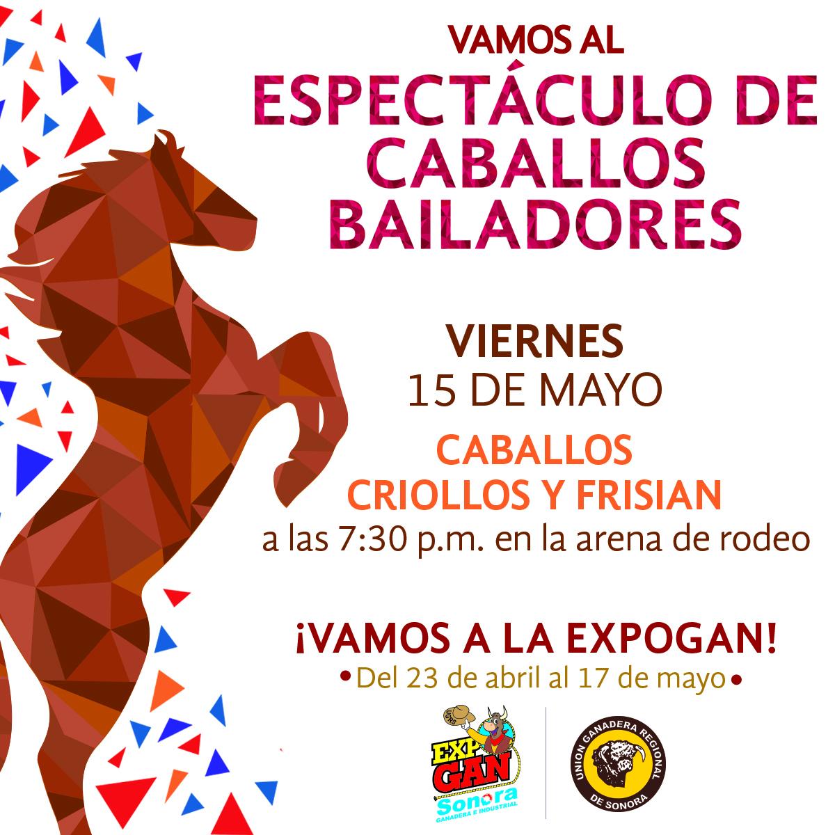 ExpoGanSon's tweet photo. 15 y 16 de mayos ¡Caballos Bailadores! #ExpoGan2015 http://t.co/4BKw8anXuZ