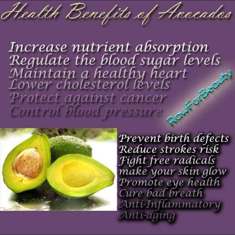 nu_lifefitness's tweet image. ...more on AVOCADO...
nu-lifefitness.com
#reducedbloodpressure #anticancer #health #freeradicals #cleanskin
