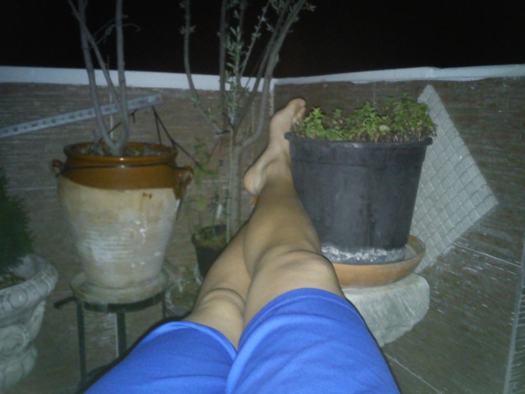 sandra221841's tweet photo. Frescas noches.. http://t.co/Zg225kfxAv