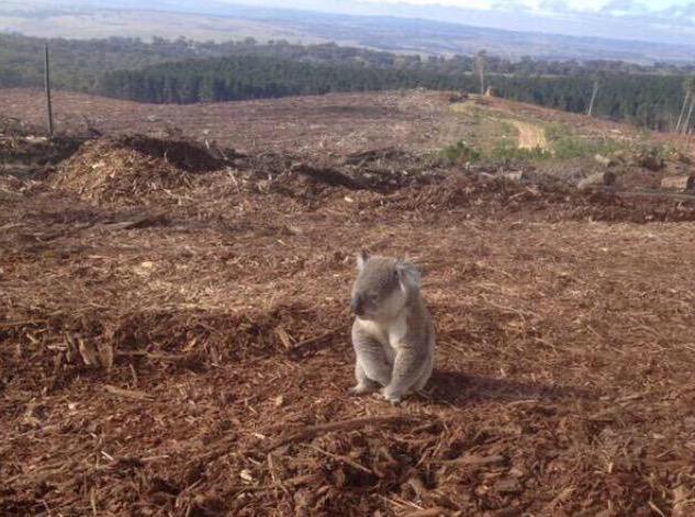 Government Truth™ tweet media