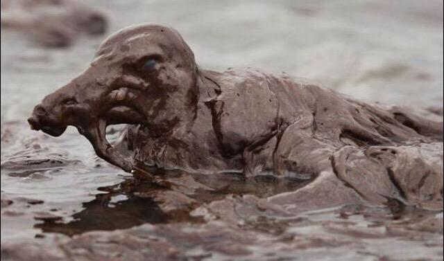 Government Truth™ tweet media