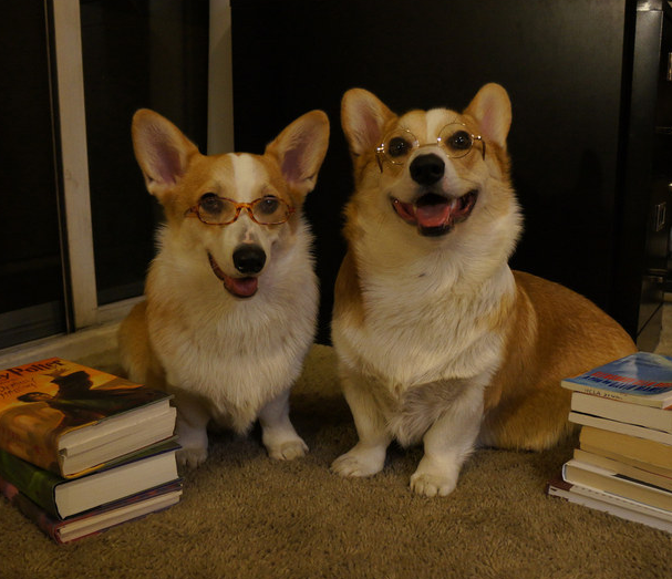 Adorably tweet picture