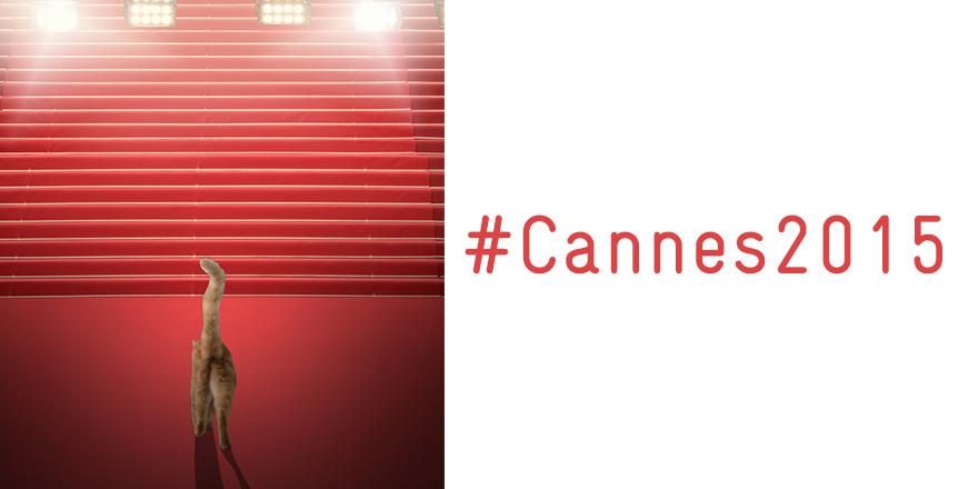 filmindependent's tweet image. Congratulations and bonne chance to the 14 FIND Members and 8 Fellows screening at #Cannes! bit.ly/FINDatCannes20…